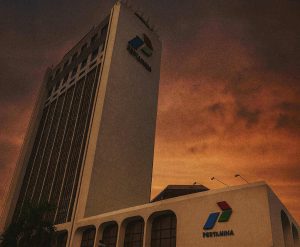 Kritik Pertamina, BUMN Sering Rugi dan Subsidi Salah Sasaran